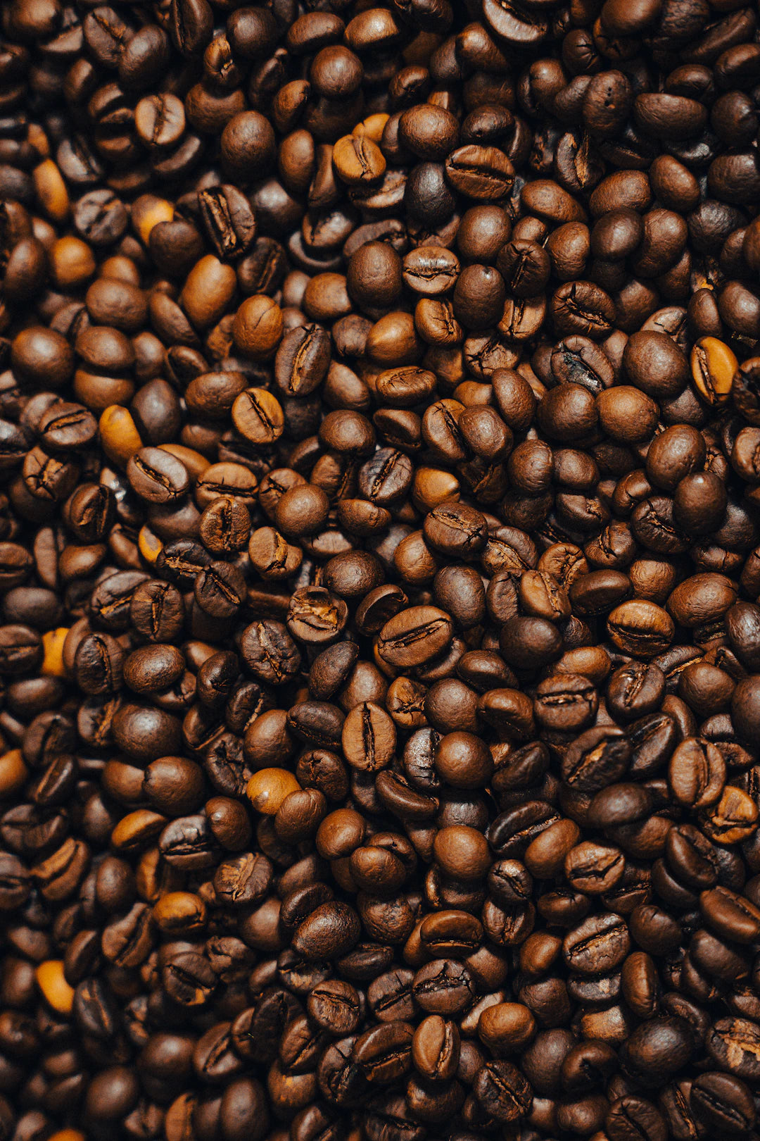 Discovering the World of Coffee Beans