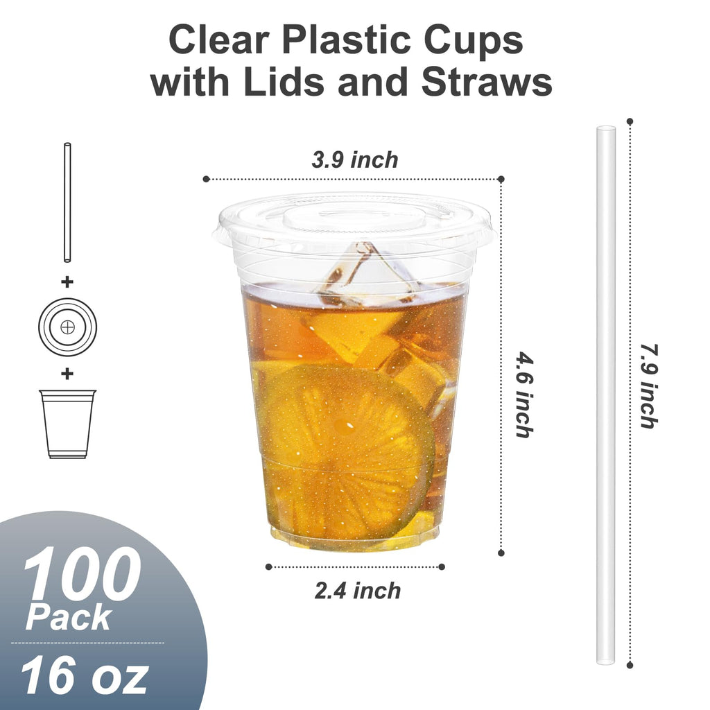 Dealusy 100 Pack - 20 oz Clear Plastic Cups with Lids and Straws, Sturdy & Food Safe Iced Coffee Cups with lids, Disposable Plastic Smoothie Cups for Cold Drinks
