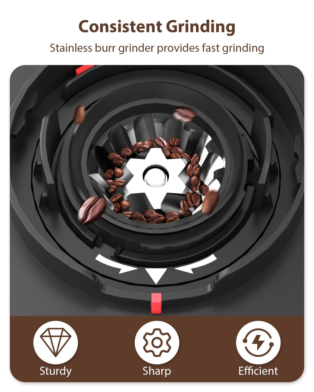 Aromaster Burr Coffee Grinder, Electric Conical Coffee Bean Grinder for Home Use, with 25 Grind Settings,3-Ears Portafilter Holder, Anti-static Design, Adjustable 2-12 Cups Timer, Cleaning Brush