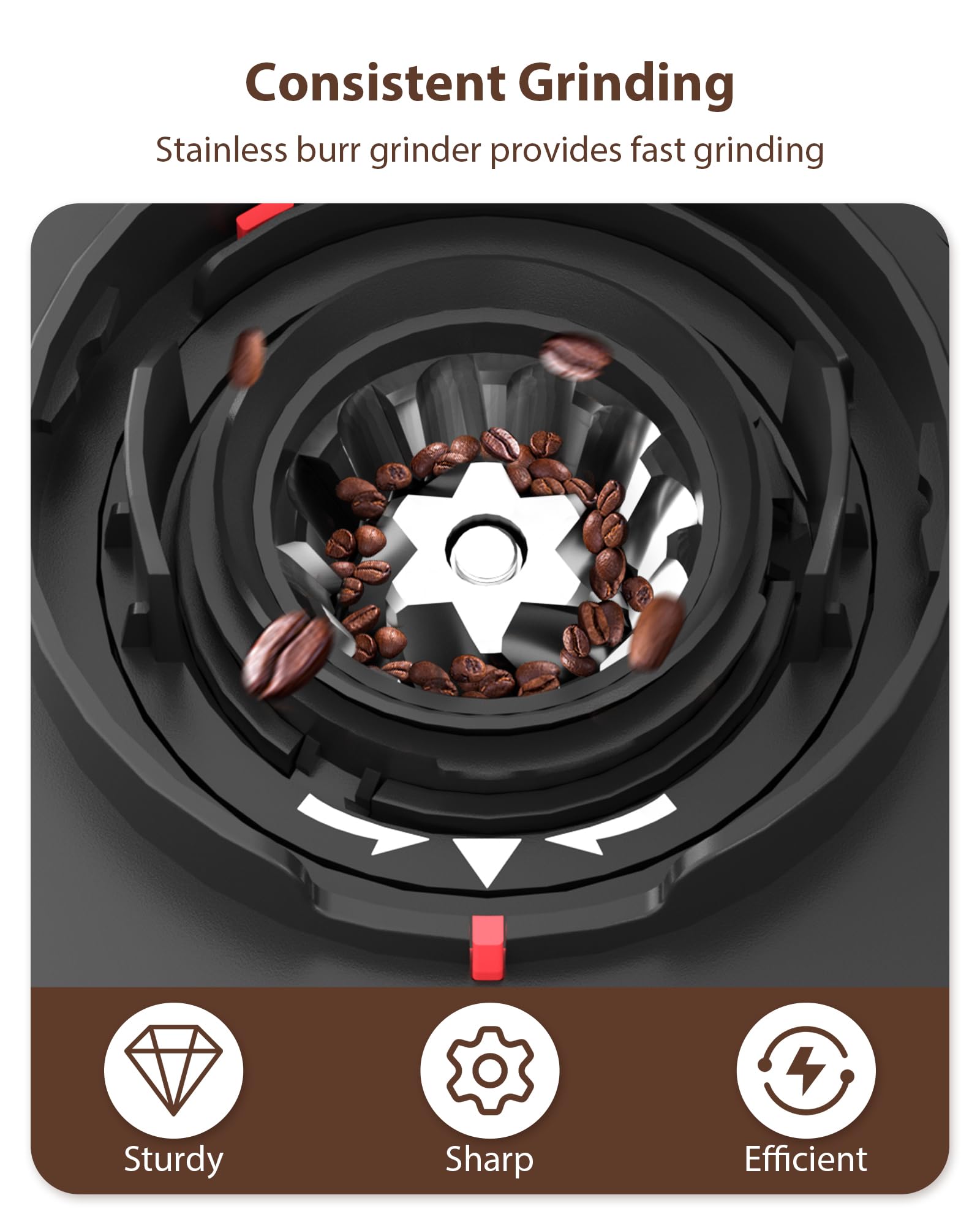 Aromaster Burr Coffee Grinder, Electric Conical Coffee Bean Grinder for Home Use, with 25 Grind Settings,3-Ears Portafilter Holder, Anti-static Design, Adjustable 2-12 Cups Timer, Cleaning Brush
