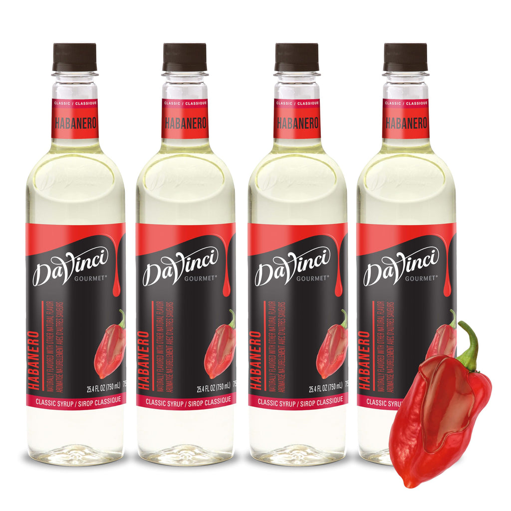 DaVinci Gourmet Classic Vanilla Syrup, 25.4 Fluid Ounces (Pack of 1)